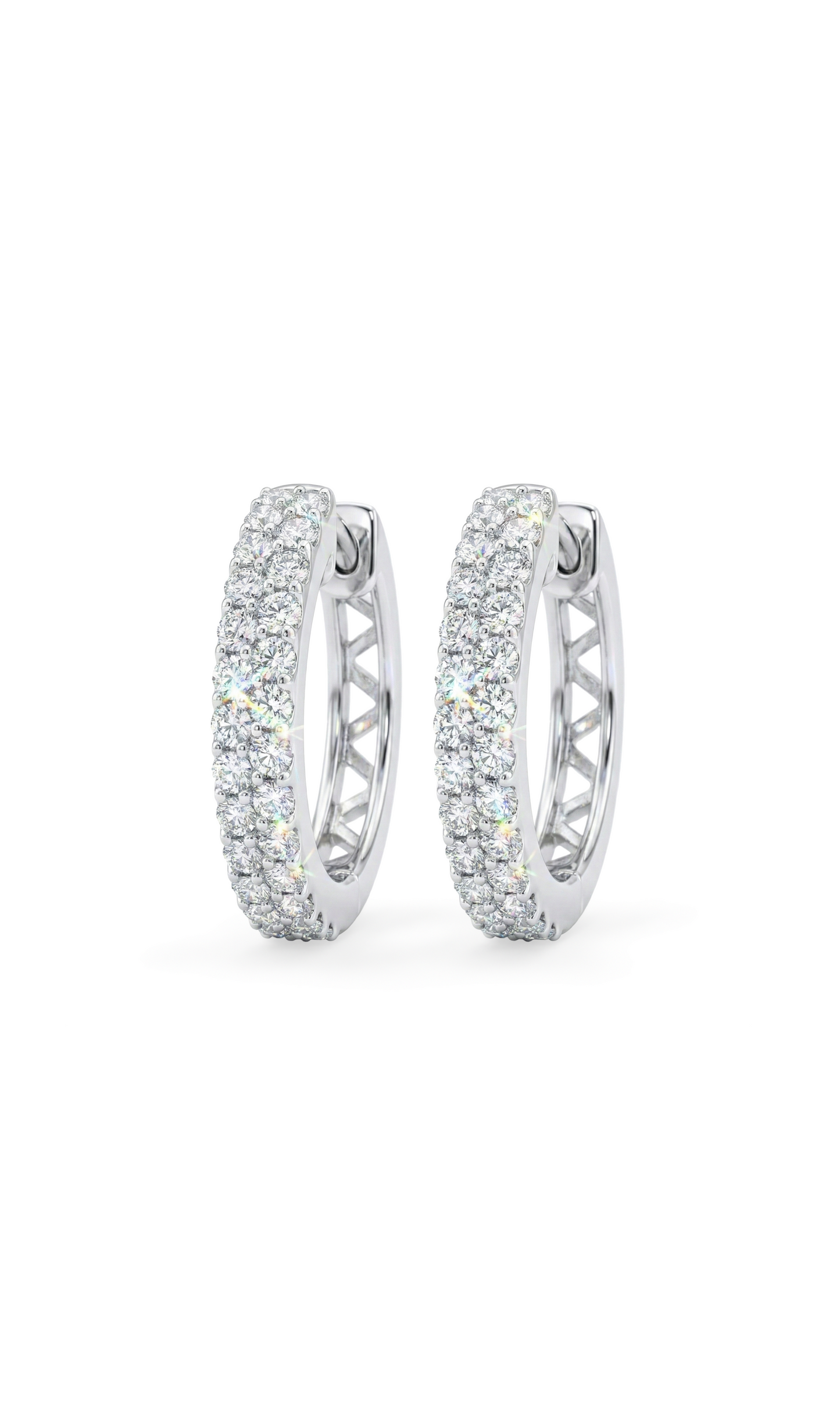 Luxury Loops Earrings